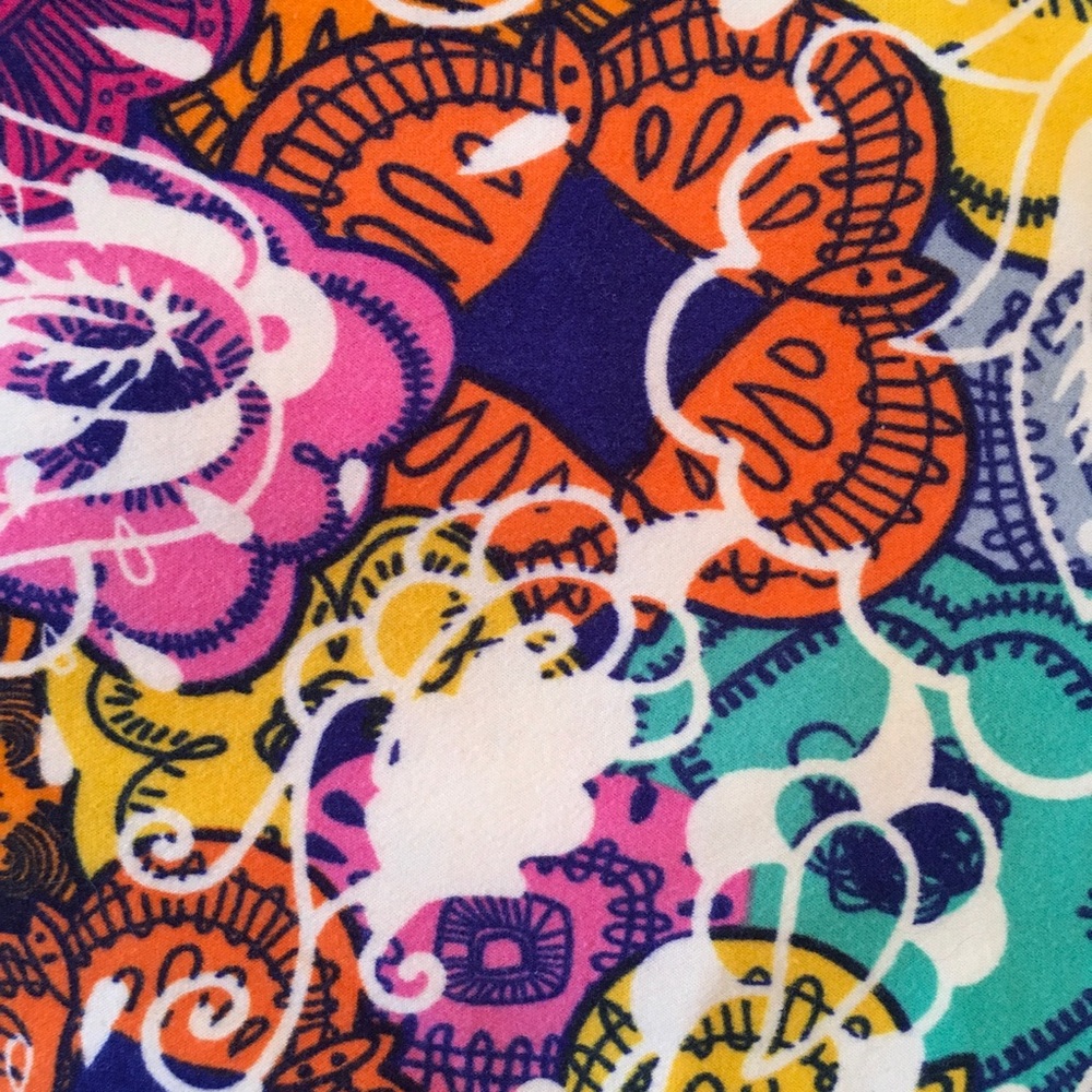 LuLaroe TC2 Leggins
